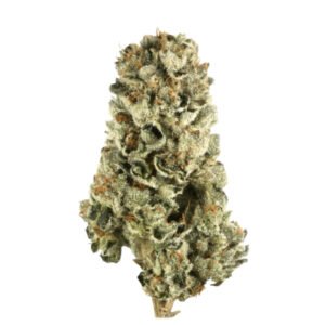 GASOLINE STRAIN FRANCE