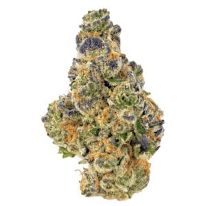 PURPLE PUNCH STRAIN FRANCE