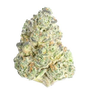 BADDIE STRAIN FRANCE