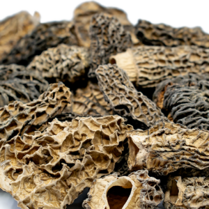 MOREL DRIED MUSHROOM FRANCE
