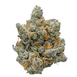 BLUEBERRY CHEESE CAKE FRANCE