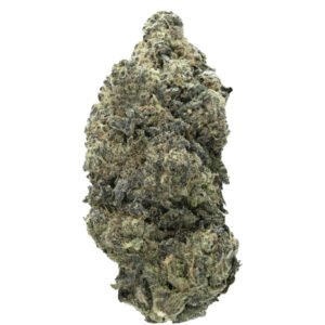 STARDAWG STRAIN FRANCE