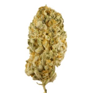 SUPER SILVER HAZE FRANCE