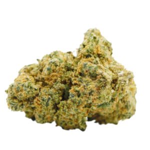 HOLLYWOOD STRAIN FRANCE