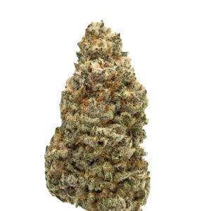 AMNESIA STRAIN FRANCE