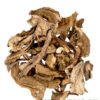 SHIITAKE DRIED MUSHROOM FRANCE