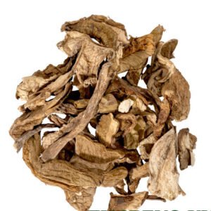 SHIITAKE DRIED MUSHROOM FRANCE