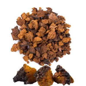 CHAGA DRIED MUSHROOM ONLINE UK