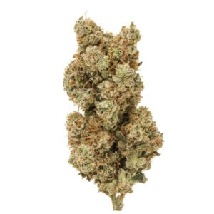 WHITE WIDOW STRAIN STRAIN FRANCE